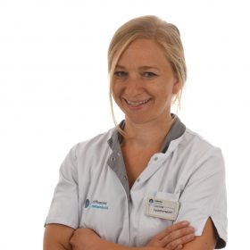 Dlamini-Stefes, C. (Corinna)