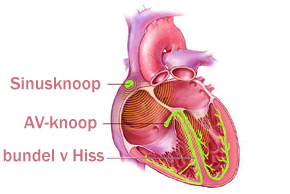CTC 010 Mine Maze 1.jpg