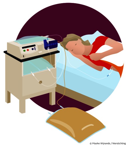 Nieren home choice.png