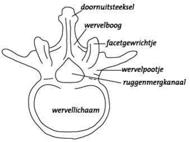 ORT-008 figuur 2.jpg