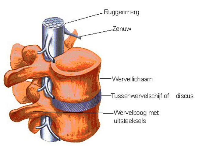 ORT-010 figuur 3.jpg