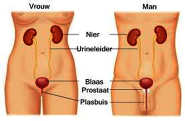 URO-069 afbeelding 1.png