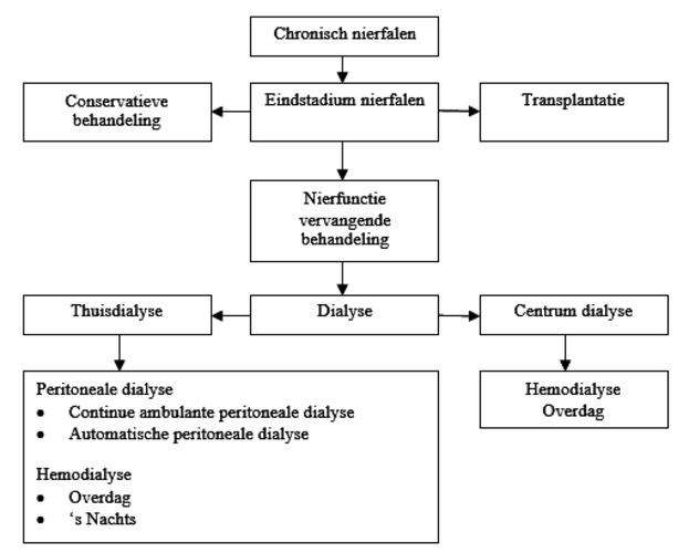 nieren nierfalen.png