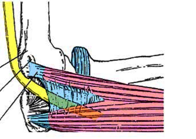 ulnaris neuropathie elleboog .jpg