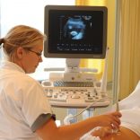 Baarmoedergolven essentieel voor goede start!