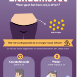 Waar gaat je lichaamsvet heen als je afvalt?